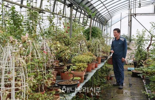 삼산면 목신마을에는 손광길씨가 30년 넘게 가꿔온, 해남에서 가장 오래되고 큰 규모의 ‘땅끝야생화농원’이 있다.
