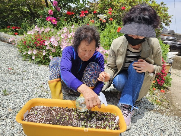 해남종합사회복지관이 어르신 400명에게 ‘행복담은 허브텃밭’을 지원하고 있다.