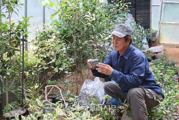 화산면 관동마을 소재관씨는 꿈꿔왔던 야생화 정원을 가꾸며 꽃과 나무, 새들과 더불어 살아간다.