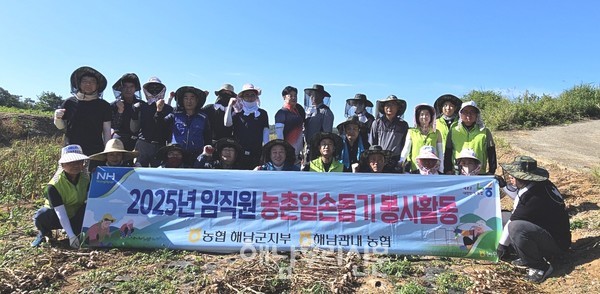 농협해남군지부와 옥천농협은 북일면에서 마늘 수확 지원을 했다.