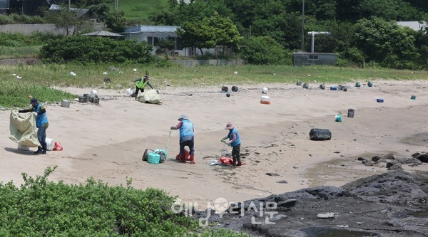 오늘은 운이 좋았다. 어제 남동풍이 불어 많은 쓰레기가 밀려오지 않았다.(위 사진) 기분이 좋다. 송지면 내장 앞바다에 이어 도착한 어란 앞바다. 이들의 손이 바삐 움직인다. 그 바쁨에 잡티 없이 환해지는 모래사장, 그 뿌듯함을 알기에 이 직업에 성취감을 느낀다.(아래 사진 )