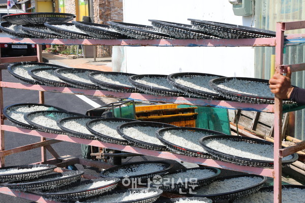 매년 6월이면 땅끝마을 어민들이 해수에 데친 멸치를 태양볕에 말리기 위해 마을회관 앞으로 끌고 가던 모습이 올해는 사라졌다.