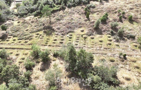 신안공설묘지 이설 및 활용방안에 대한 연구단체가 해남군의회 의원들을 중심으로 결성됐다.