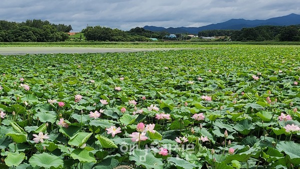 마산 연구저수지