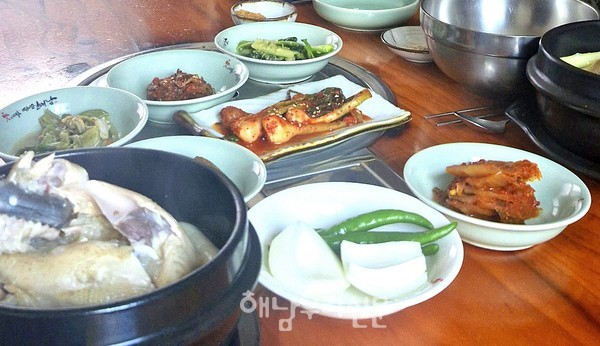 땅끝한우 전문 취급점인 향원식당의 황칠삼계탕은 황칠나무와 엄나무, 오가피로 낸 육수로 인해 시원한 맛이 별미다.