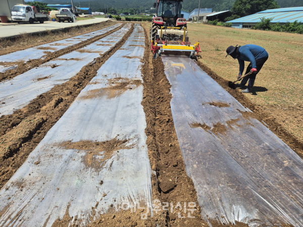 북평면에서 밭작물 농작업 기계화 촉진을 위한 ‘토양소독기 현장연시회’가 열렸다.