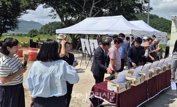 해남농업기술센터가 8개 포도품종에 대한 평가회를 가졌다.