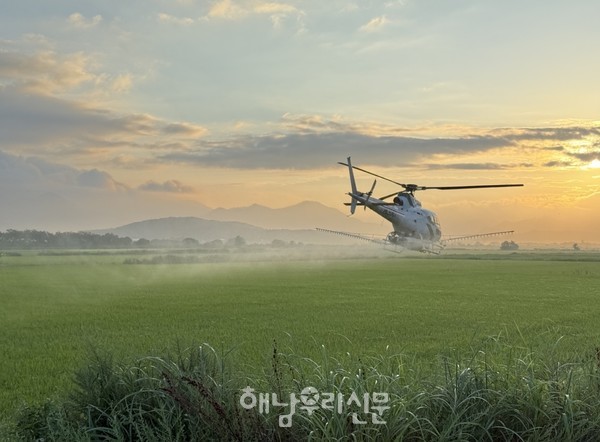 마산면 간척지 일원에 친환경 벼 병해충 4차 공동방제가 실시됐다.