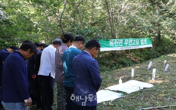 옥천면 후계농업경영인회 회원들이 무연고 묘 벌초에 이어 차례를 지내고 있다.