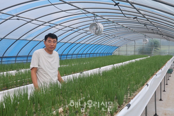 북일면 흥촌리 김남욱씨는 부모님이 평생 일군 터전에서 현대식 수경재배로 쪽파를 생산하고 있다.