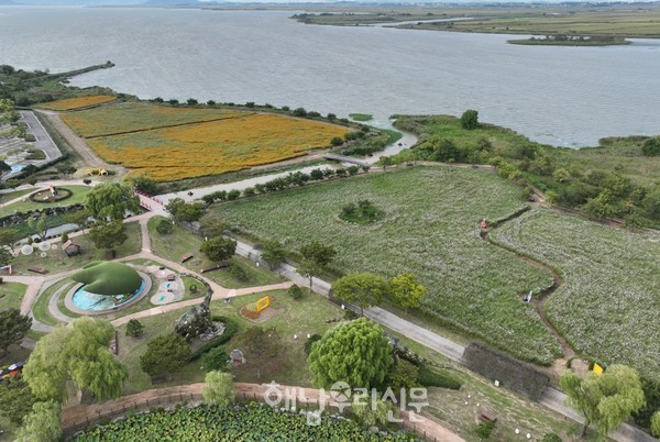 ‘해남공룡박물관’에 가을을 맞아 분홍빛 코스모스와 함께 노란 황하 코스모스 포토존이 있어 필수 나드리 코스로 자리매김했다.