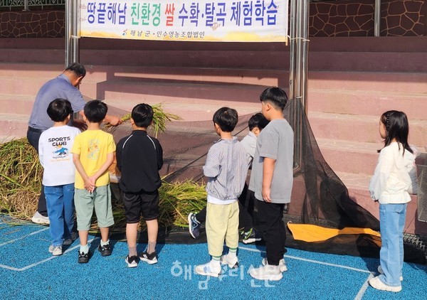 해남 친환경쌀이 공급되는 서울지역 초등학교에서 ‘벼 수확 체험행사’가 열렸다.