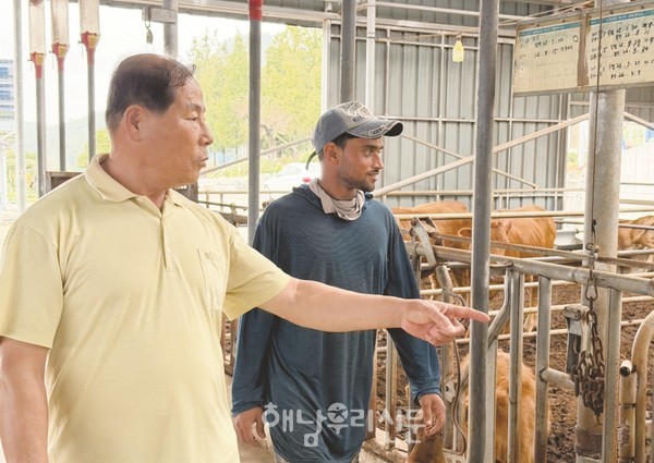 강산푸름농장 강정수 대표와 네팔 외국인 근로자 카브리엘 무띠씨가 농장을 둘러보고 있다.