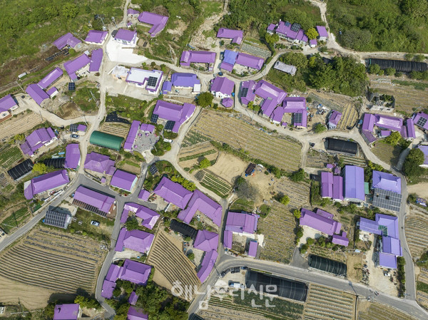 색으로 지역 이미지를 바꾼 피플섬