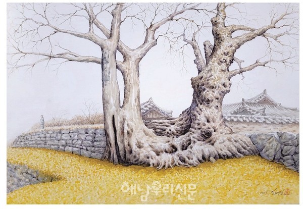 해남이야기-500년 아련한 사랑 ‘연리근’