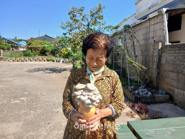 해남종합사회복지관이 ‘쑥쑥버섯, 활짝웃음’ 버섯 키우기를 운영하고 있다.